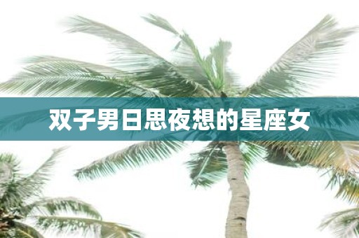 双子男日思夜想的星座女