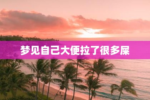梦见自己大便拉了很多屎