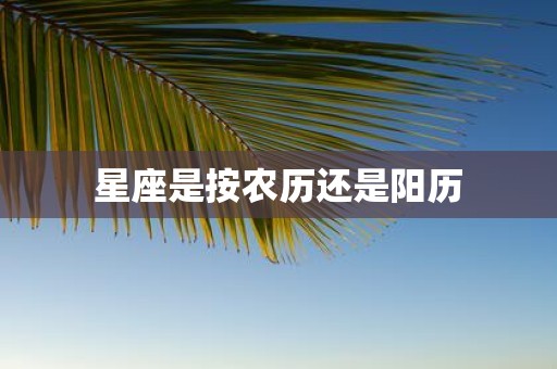 星座是按农历还是阳历