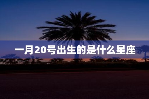 一月20号出生的是什么星座