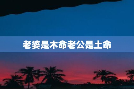 老婆是木命老公是土命