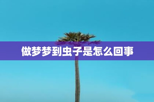 做梦梦到虫子是怎么回事
