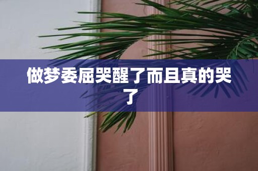 做梦委屈哭醒了而且真的哭了