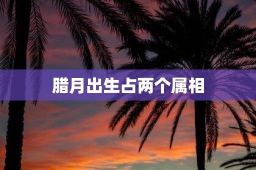腊月出生占两个属相