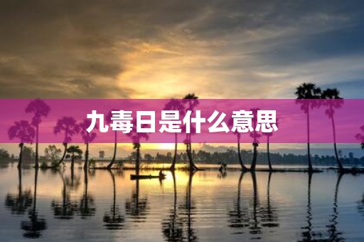 九毒日是什么意思