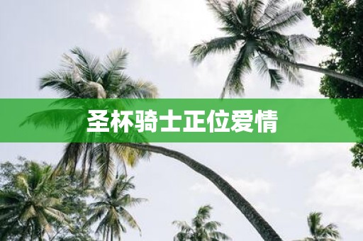 圣杯骑士正位爱情