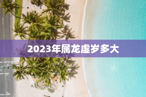 2025年属龙虚岁多大