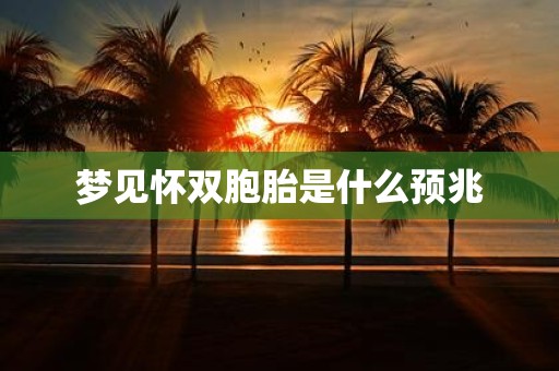 梦见怀双胞胎是什么预兆