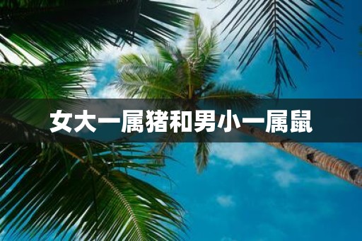 女大一属猪和男小一属鼠