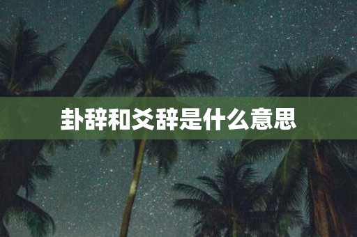 卦辞和爻辞是什么意思