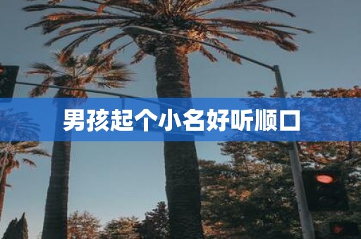 男孩起个小名好听顺口