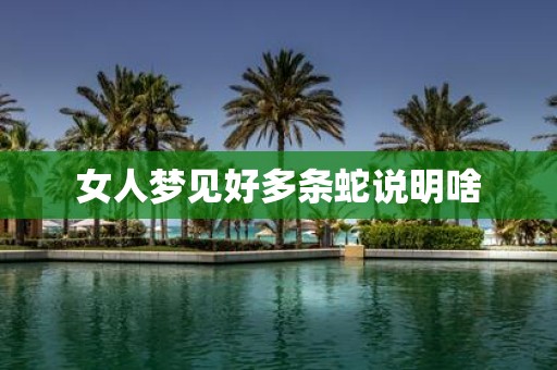 女人梦见好多条蛇说明啥