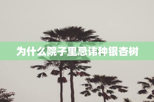 为什么院子里忌讳种银杏树