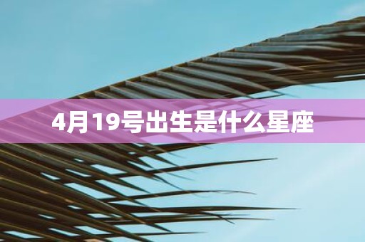 4月19号出生是什么星座