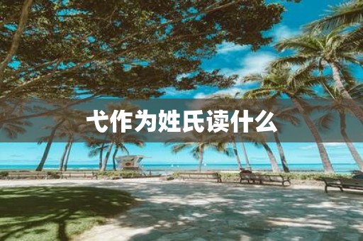 弋作为姓氏读什么