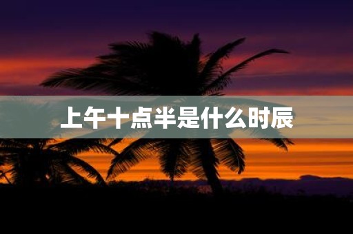 上午十点半是什么时辰