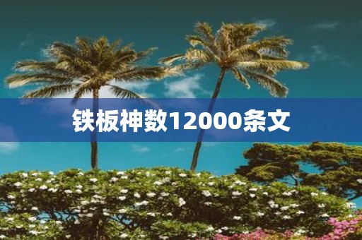 铁板神数12000条文