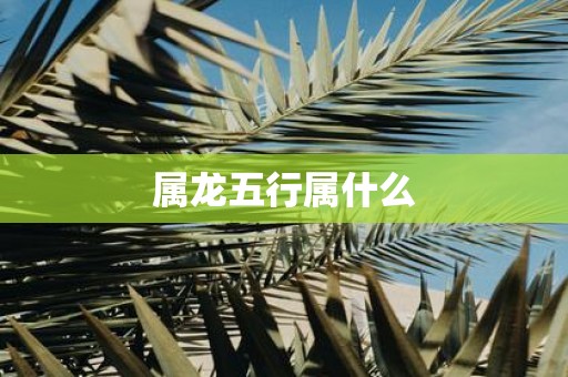 属龙五行属什么