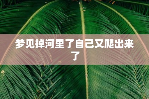 梦见掉河里了自己又爬出来了