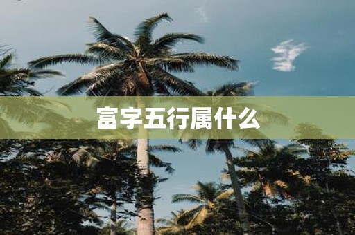 富字五行属什么