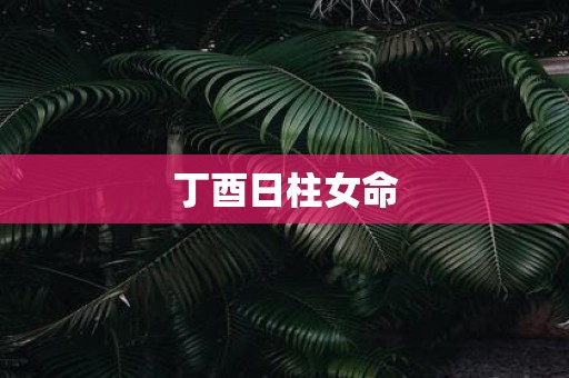 丁酉日柱女命