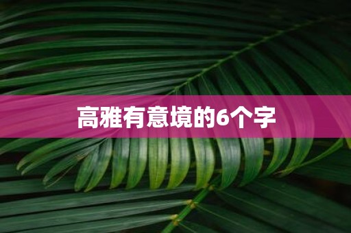 高雅有意境的6个字