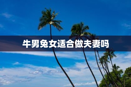 牛男兔女适合做夫妻吗