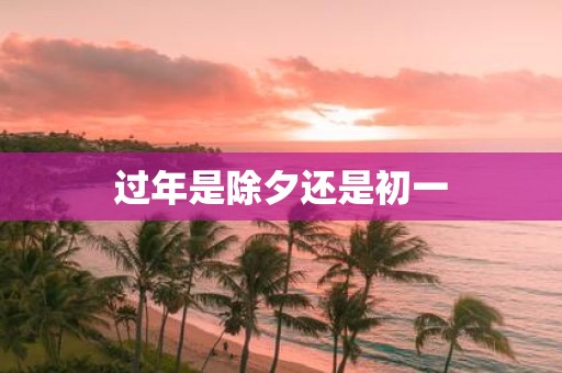 过年是除夕还是初一