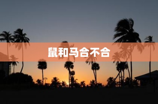 鼠和马合不合