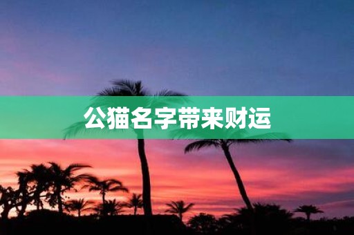 公猫名字带来财运