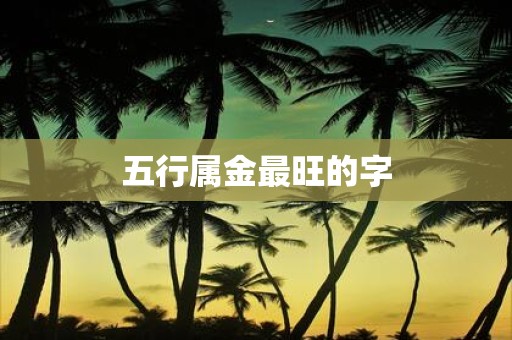五行属金最旺的字