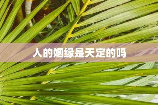 人的姻缘是天定的吗