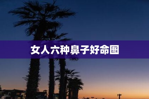 女人六种鼻子好命图