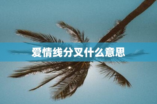爱情线分叉什么意思