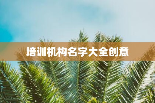 培训机构名字大全创意