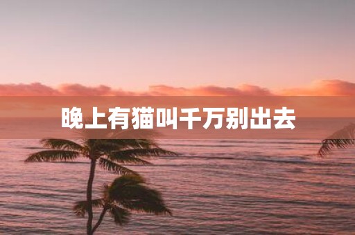 晚上有猫叫千万别出去