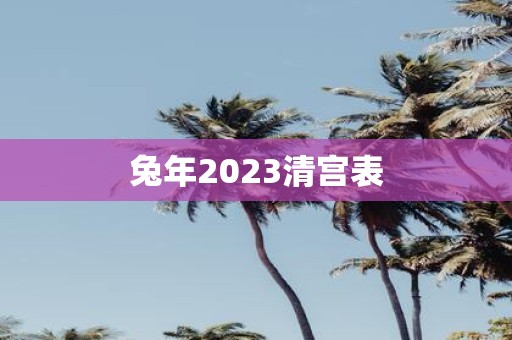 蛇年2025清宫表