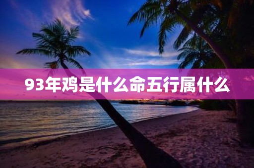 93年鸡是什么命五行属什么