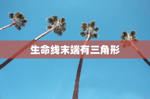 生命线末端有三角形
