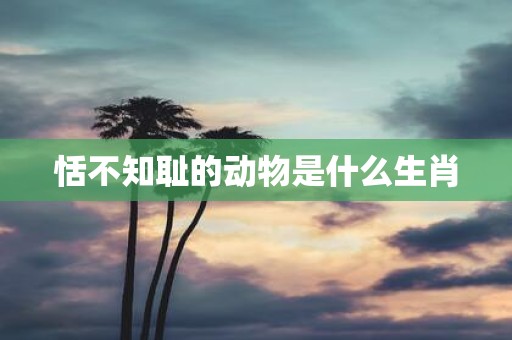 恬不知耻的动物是什么生肖