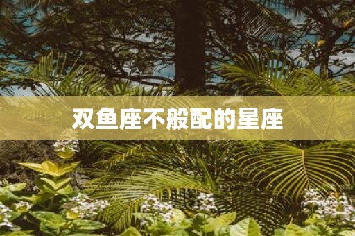 双鱼座不般配的星座