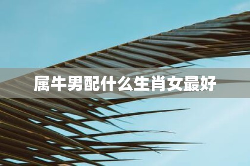 属牛男配什么生肖女最好