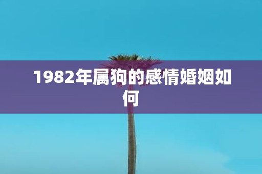 1982年属狗的感情婚姻如何