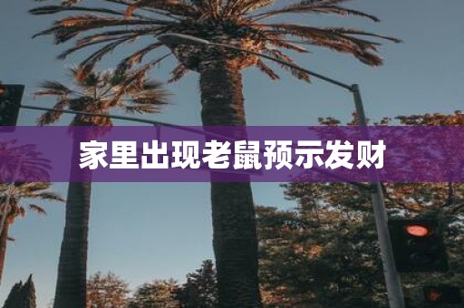 家里出现老鼠预示发财