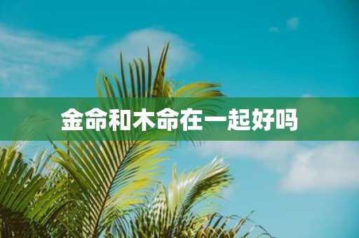 金命和木命在一起好吗