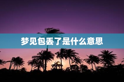 梦见包丢了是什么意思