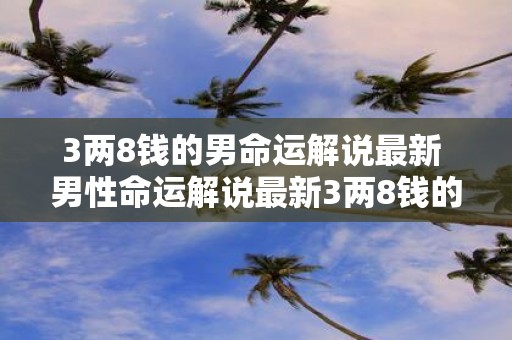 3两8钱的男命运解说最新 男性命运解说最新3两8钱的命运如何