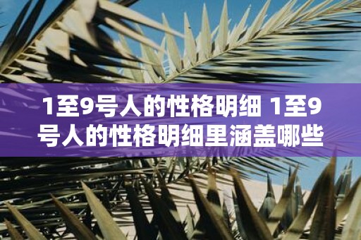 1至9号人的性格明细 1至9号人的性格明细里涵盖哪些详细内容
