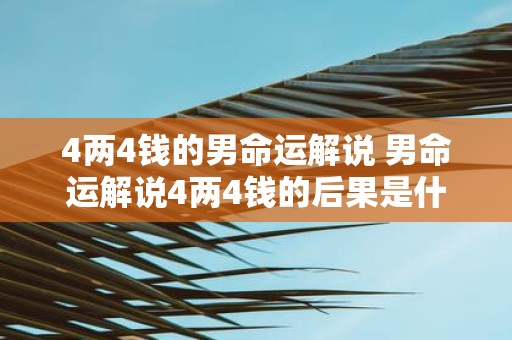 4两4钱的男命运解说 男命运解说4两4钱的后果是什么