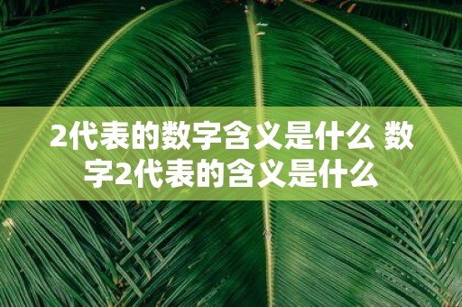 2代表的数字含义是什么 数字2代表的含义是什么